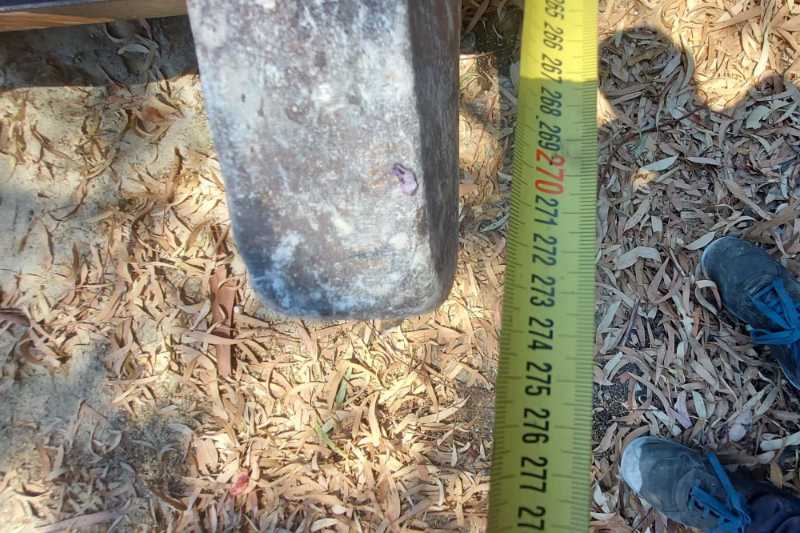 OmecoHub - Immagine CALABRO BENNE 345